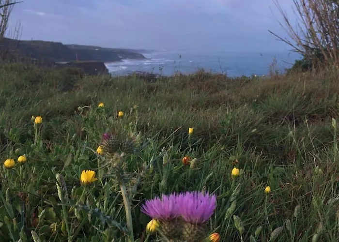 Silver Coast Vacation - Your Unique Gasthuis 4*