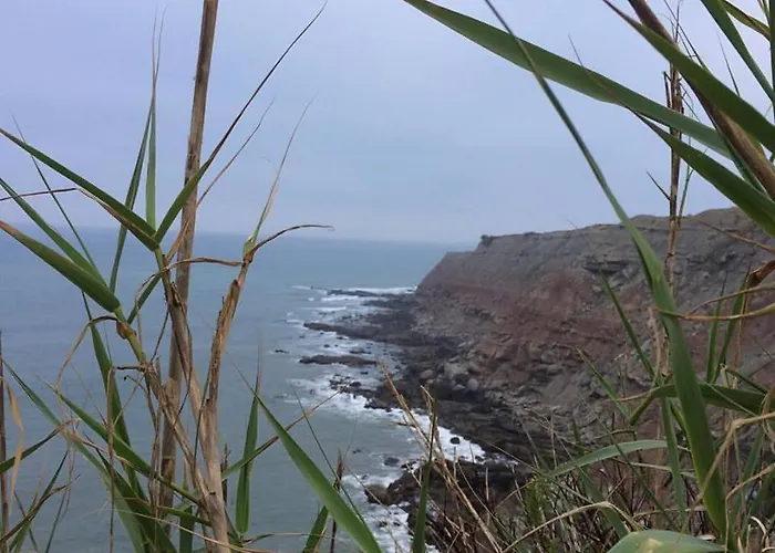 Silver Coast Vacation - Your Unique Gasthuis 4*