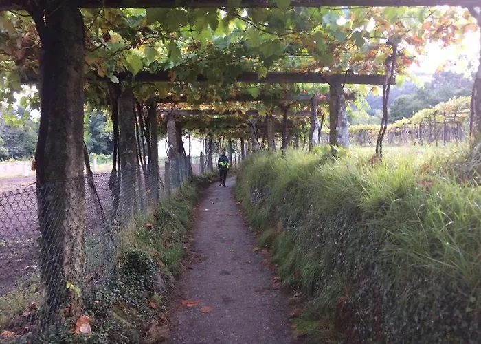 Silver Coast Vacation - Your Unique Gasthuis Lourinhã