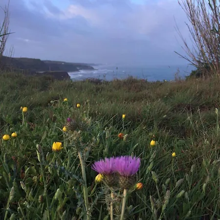 Silver Coast Vacation - Your Unique Pensjonat 4*